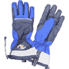 Polaris? Extreme Gloves